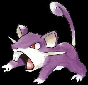 Rattata