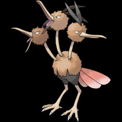085 Dodrio