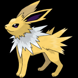 135 Jolteon