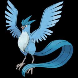 144 Articuno