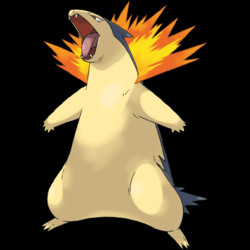 157 Typhlosion