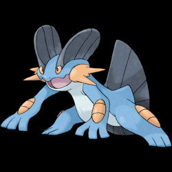 260 Swampert