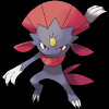 461 Weavile