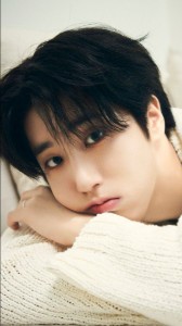 Han(Stray kids)