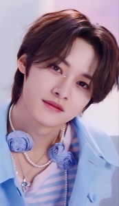 Lee Know(Stray kids)