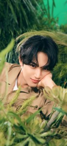 Mingyu(SEVENTEEN)