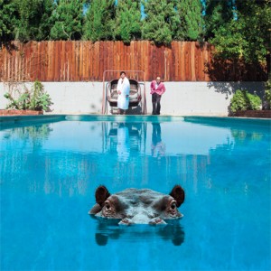 Hippopotamus