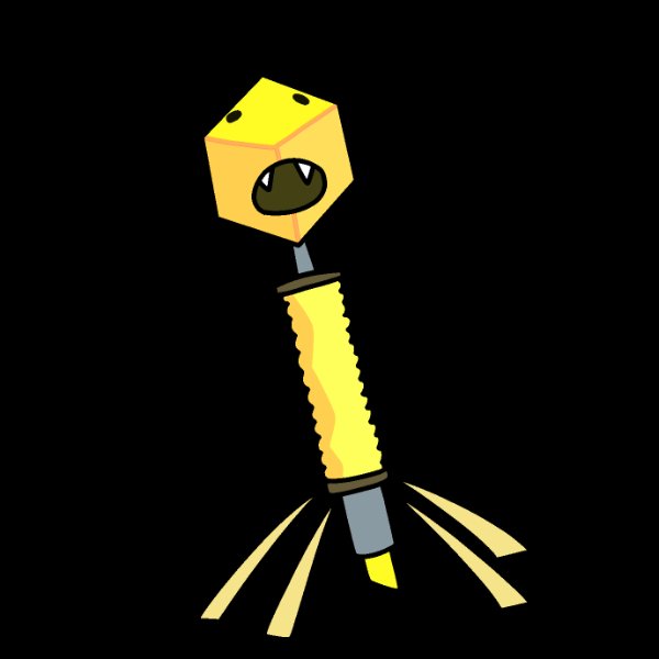 Marvirus