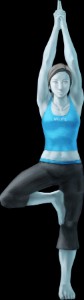 Wii Fit Trainer