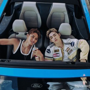 S.Coups X Mingyu