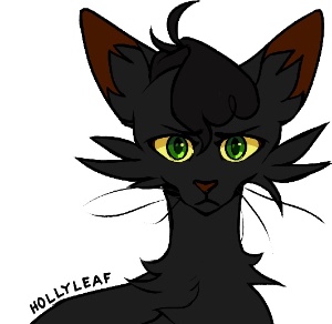 Hollyleaf
