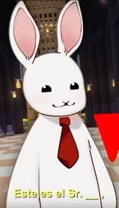Mr. Bunny