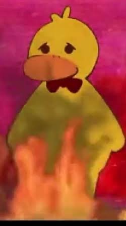 Mr. Duck