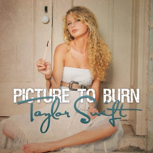 Picture To Burn