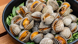 Cockle