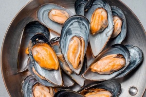 Mussel