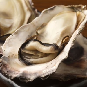 Oyster
