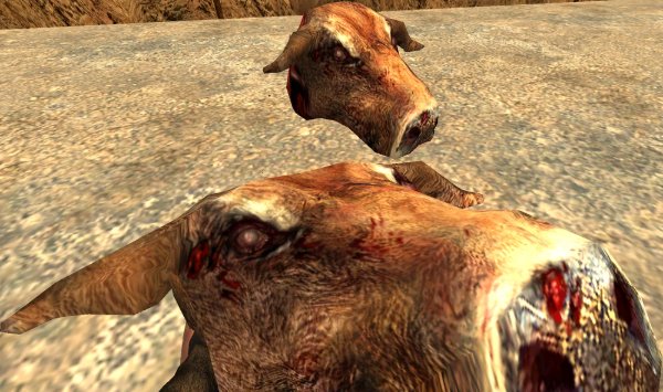 Cow head