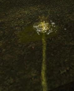 Piss