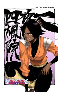 Yoruichi Shihoin