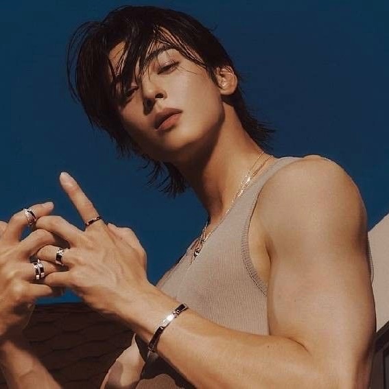 Cha Eun-Woo