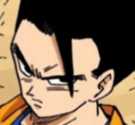 Son Gohan (Dragon Ball)