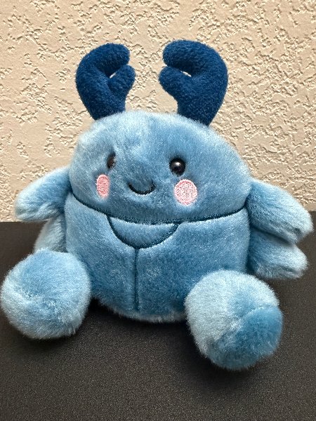 Beetle