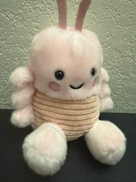 Doctor Shrimp
