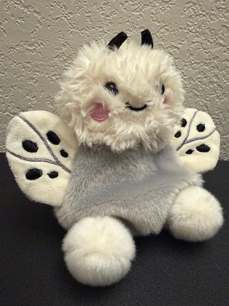 Moth
