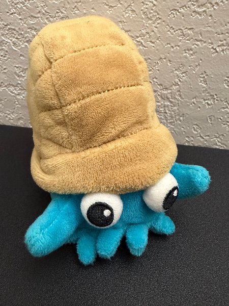 Omanyte