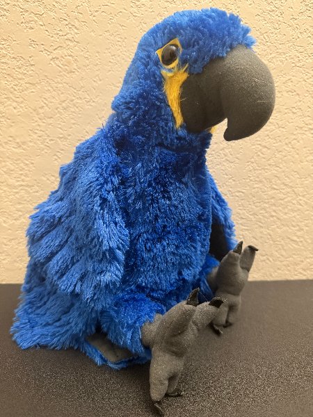 Placebo Bird