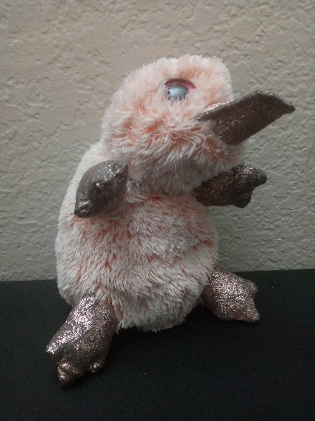 Platy