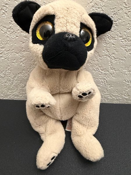 Pug
