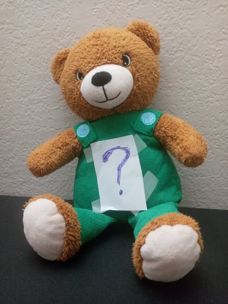 Riddler Bear