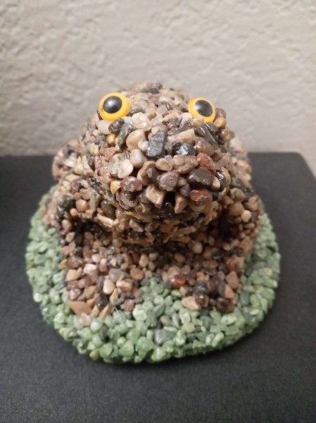 Rock Toad