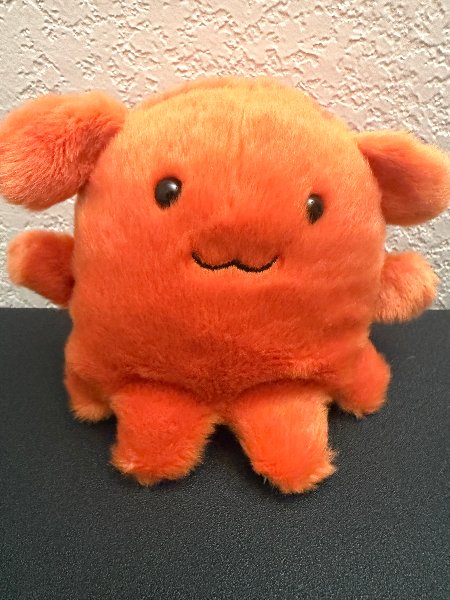 Ruby Squid