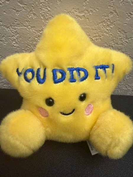 You Did It Star