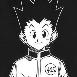 Gon Freecss