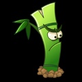Bamboo Bro