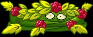 Bramble Bush