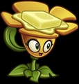 Buttercup