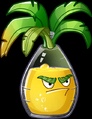 Celebration Soda Palm