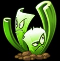 Celery Stalker
