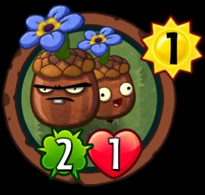 Forget-Me-Nuts