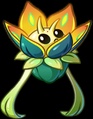 Golden Cicada Flower