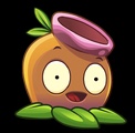 Gumnut