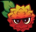 Lychee