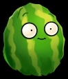 Melon-nut