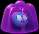 Murkadamia Nut
