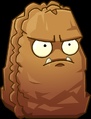 Primal Wall-nut